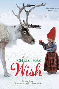 the christmas wish