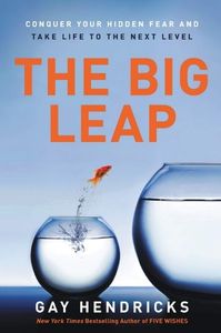 the big leap book cover
