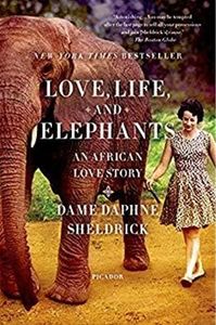 love, life, and elephants