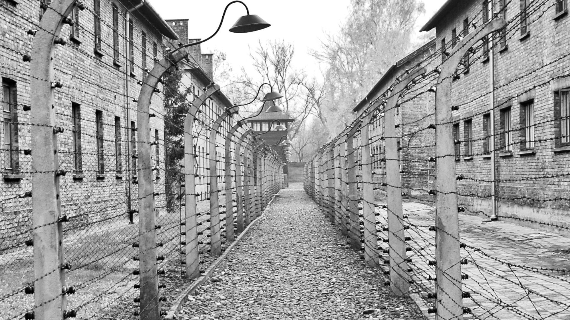 18 Heart Breaking Books on Holocaust | Must-Read