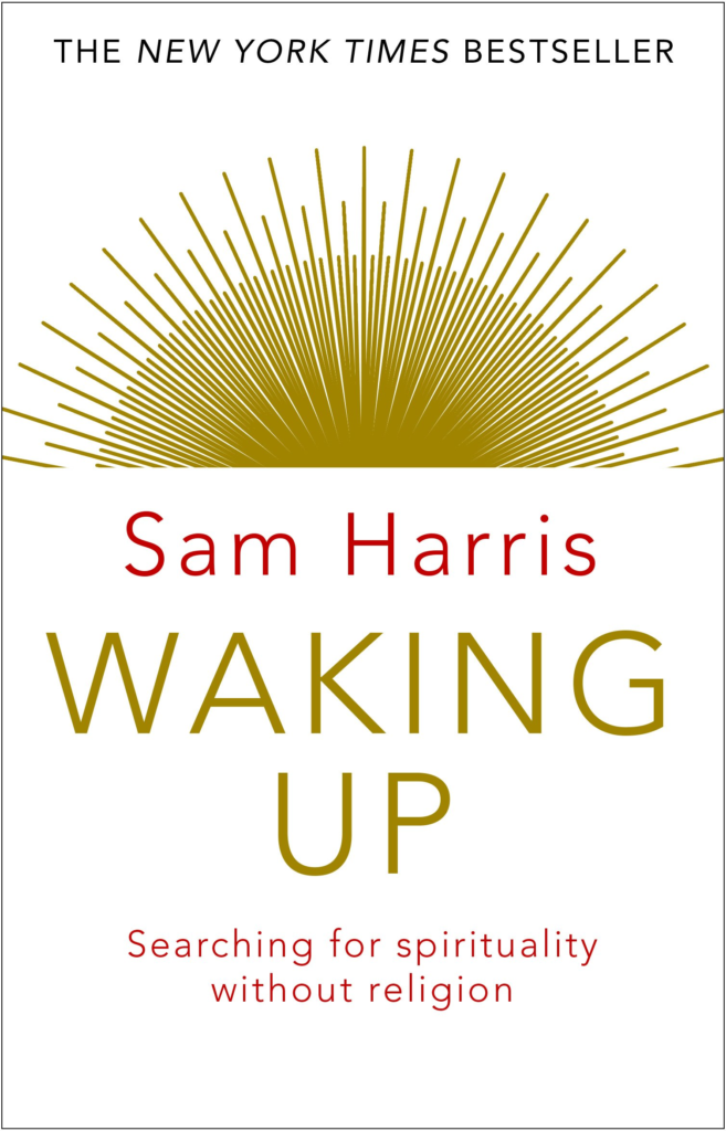 Waking up book Cover